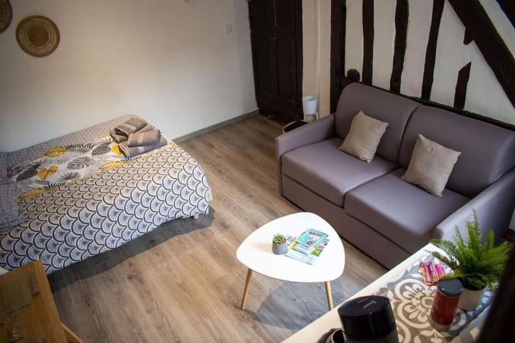 Studio Charmant Confortable Tv Centre Ville 卢维耶 外观 照片