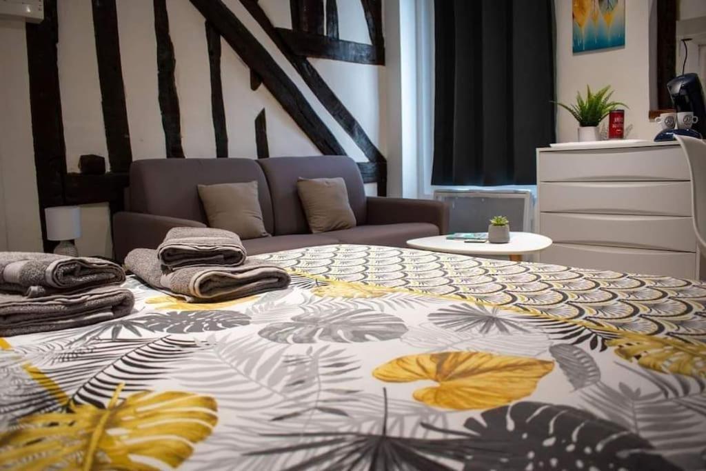 Studio Charmant Confortable Tv Centre Ville 卢维耶 外观 照片