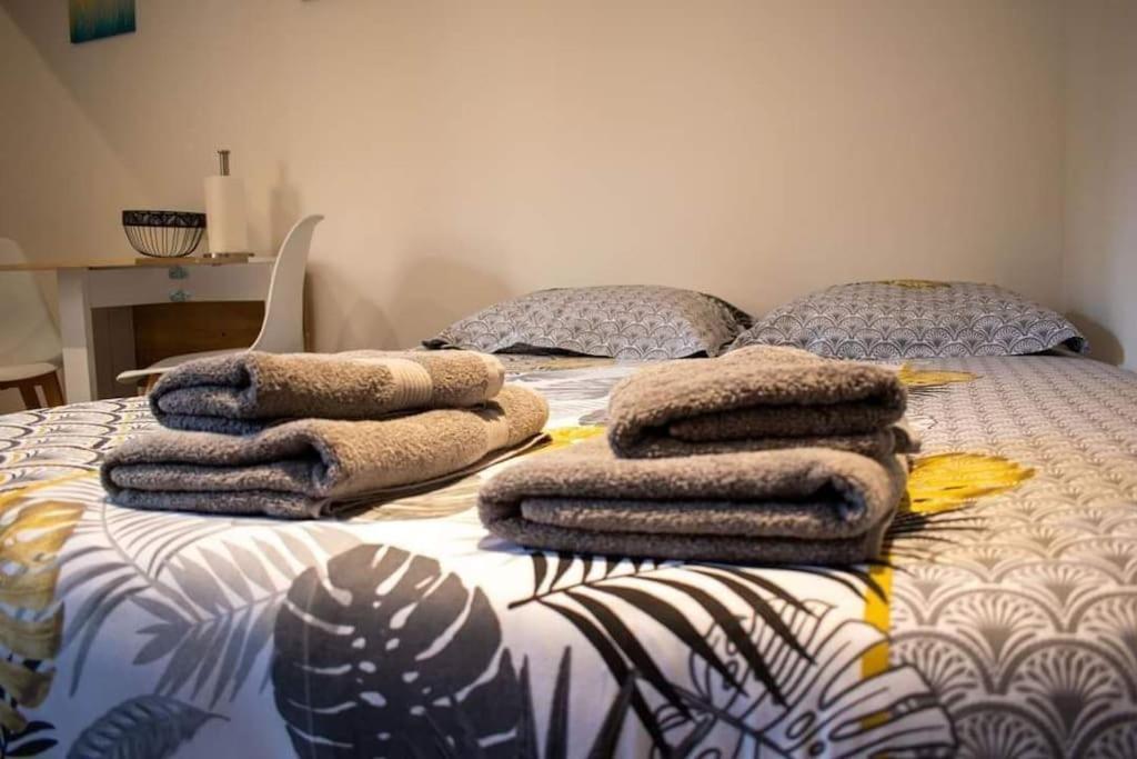 Studio Charmant Confortable Tv Centre Ville 卢维耶 外观 照片